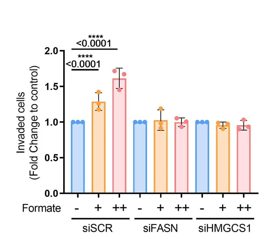 Open access visualization of Bar Plot, Error Bars, Invasion, LN-229 Cells, Formate