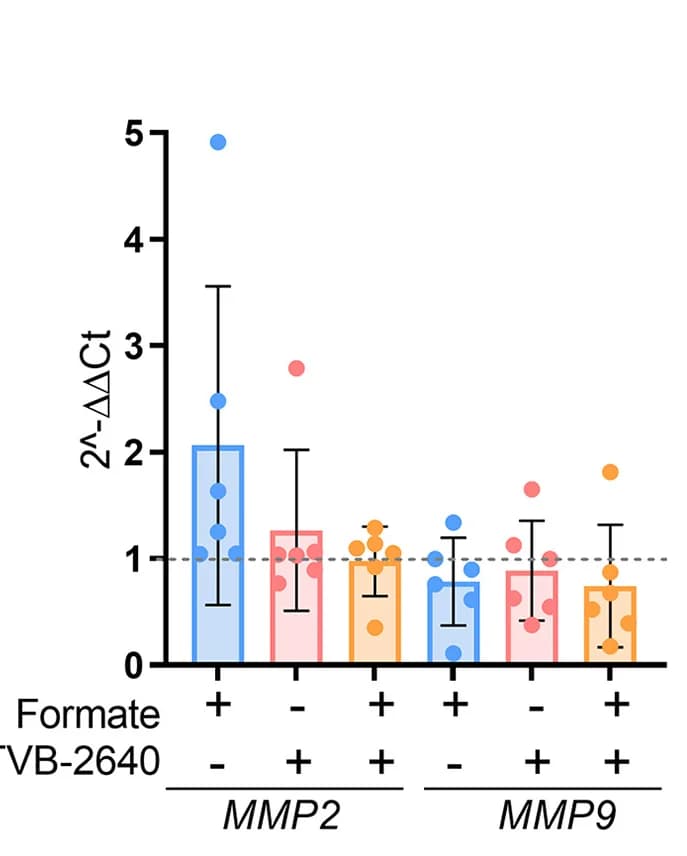 Open access visualization of Bar Plot, Error Bars, Scatter Plot, qRT-PCR, MMP2
