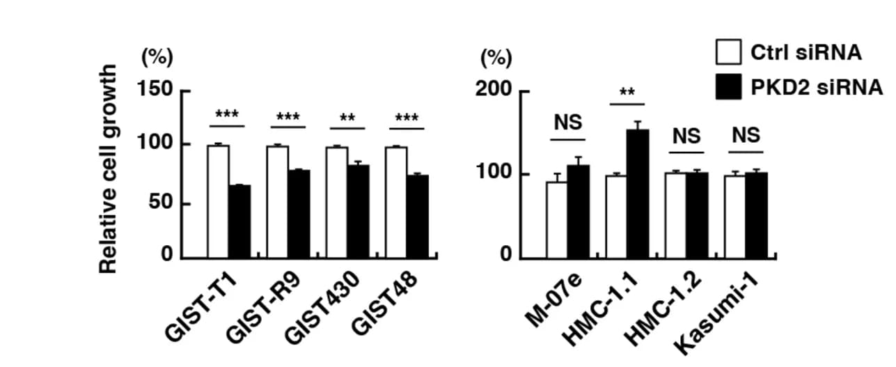 Open access visualization of Bar Plot, Error Bars, Clustered, Transfection, PKD2 siRNA