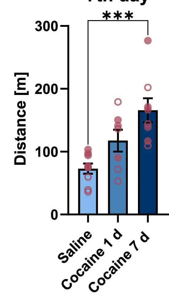 Open access visualization of Bar Plot, Error Bars, Scatter Plot, Locomotor Activity, Experiment