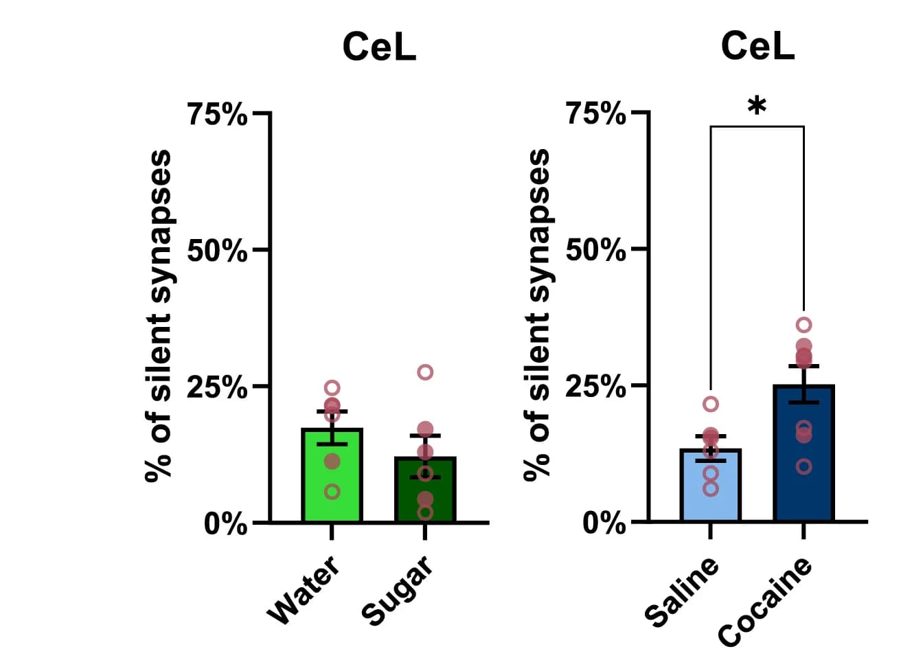 Open access visualization of Bar Plot, Error Bars, Scatter Plot, Silent Synapses, CeL