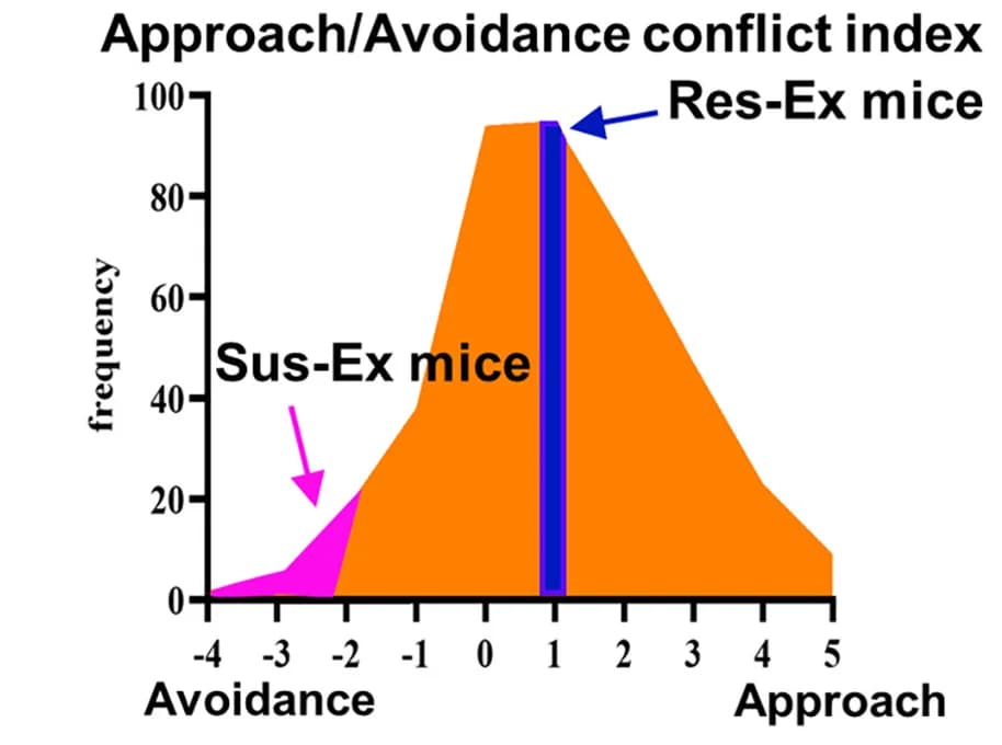 Open access visualization of Line Plot, Line Step, Bar Plot, Approach/Avoidance Conflict Task, Res-Ex Mice