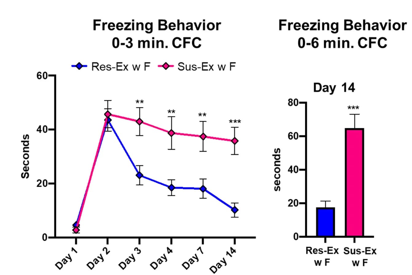 Open access visualization of Line Plot, Error Bars, Bar Plot, Freezing Behavior, CFC