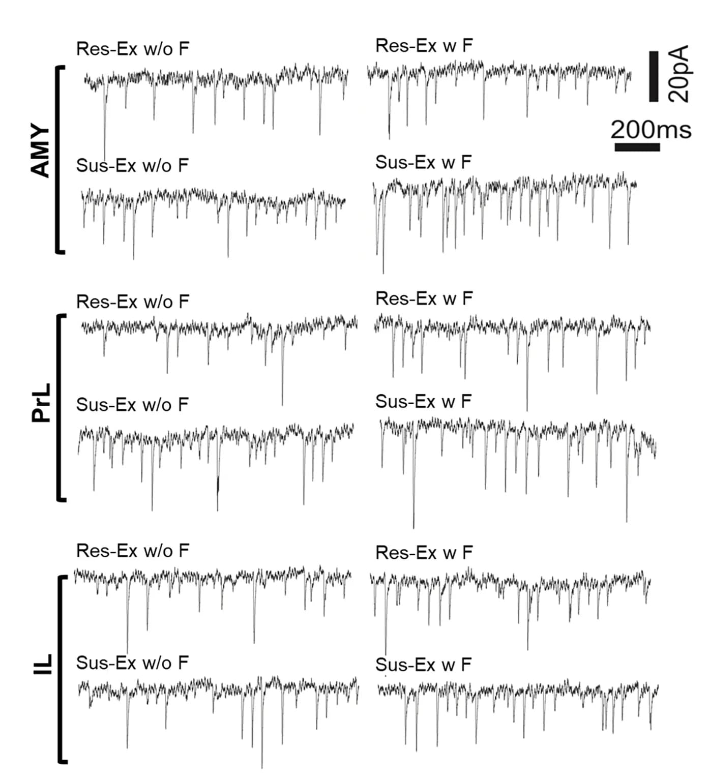 Open access visualization of Line Plot, Voltage-Clamp, Excitatory Postsynaptic Activity, YFP+neurons, AMY