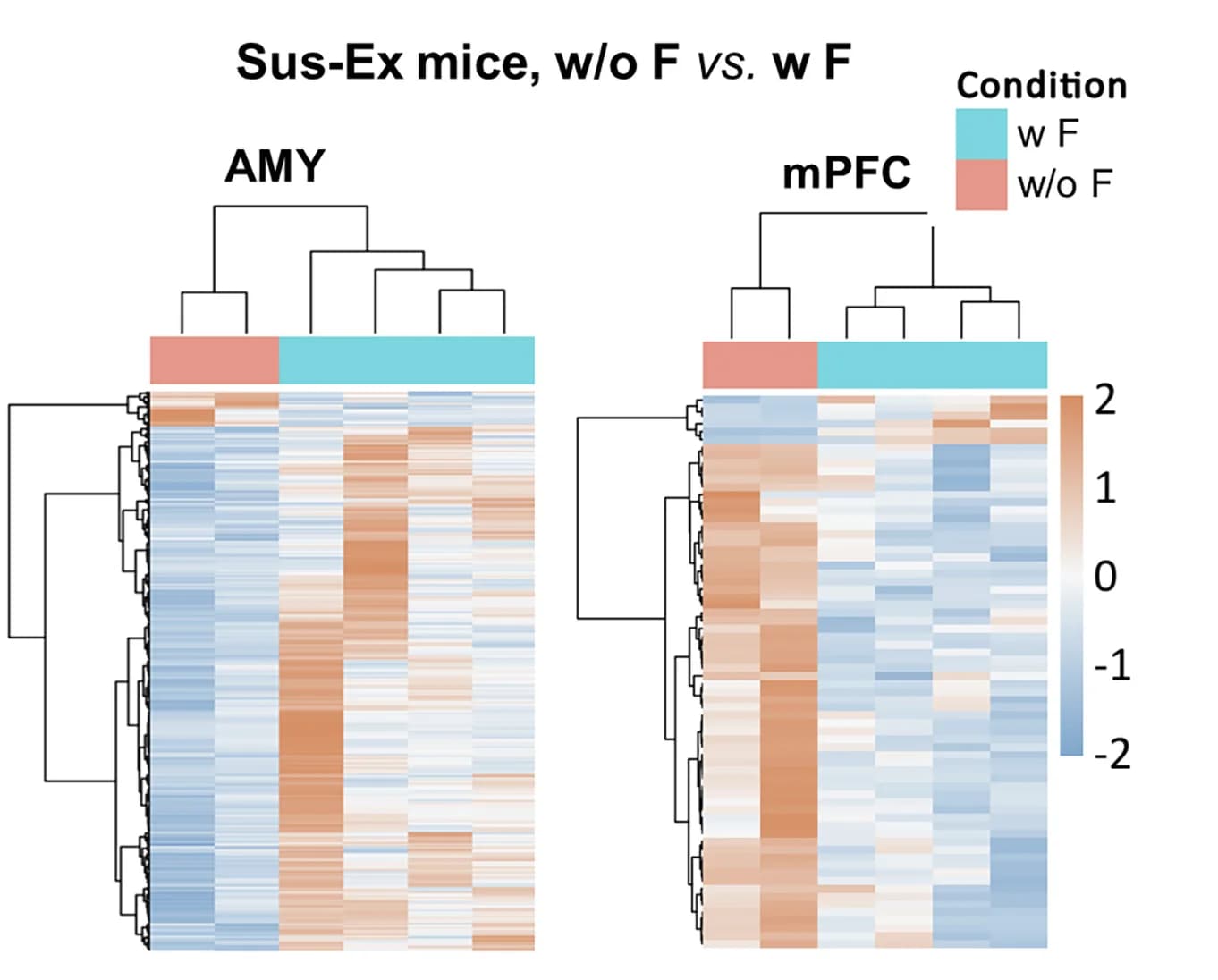 Open access visualization of Heatmap, Clustered, Gene Expression, Differentially Expressed Genes, Amygdala
