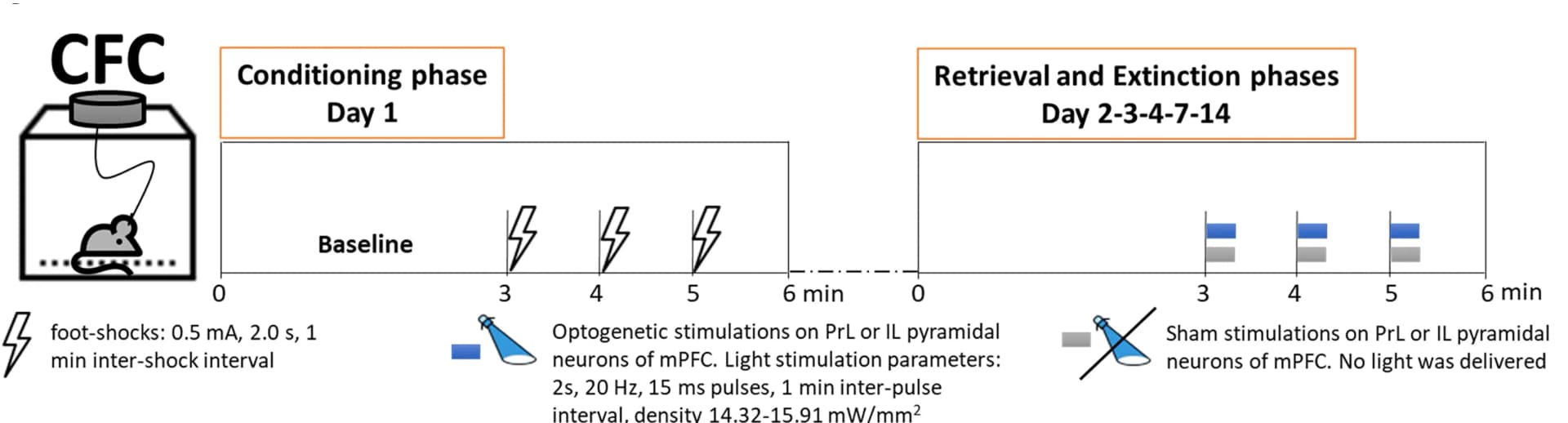 Open access visualization of Workflow, Mice, CFC task, Retrieval, Extinction phases