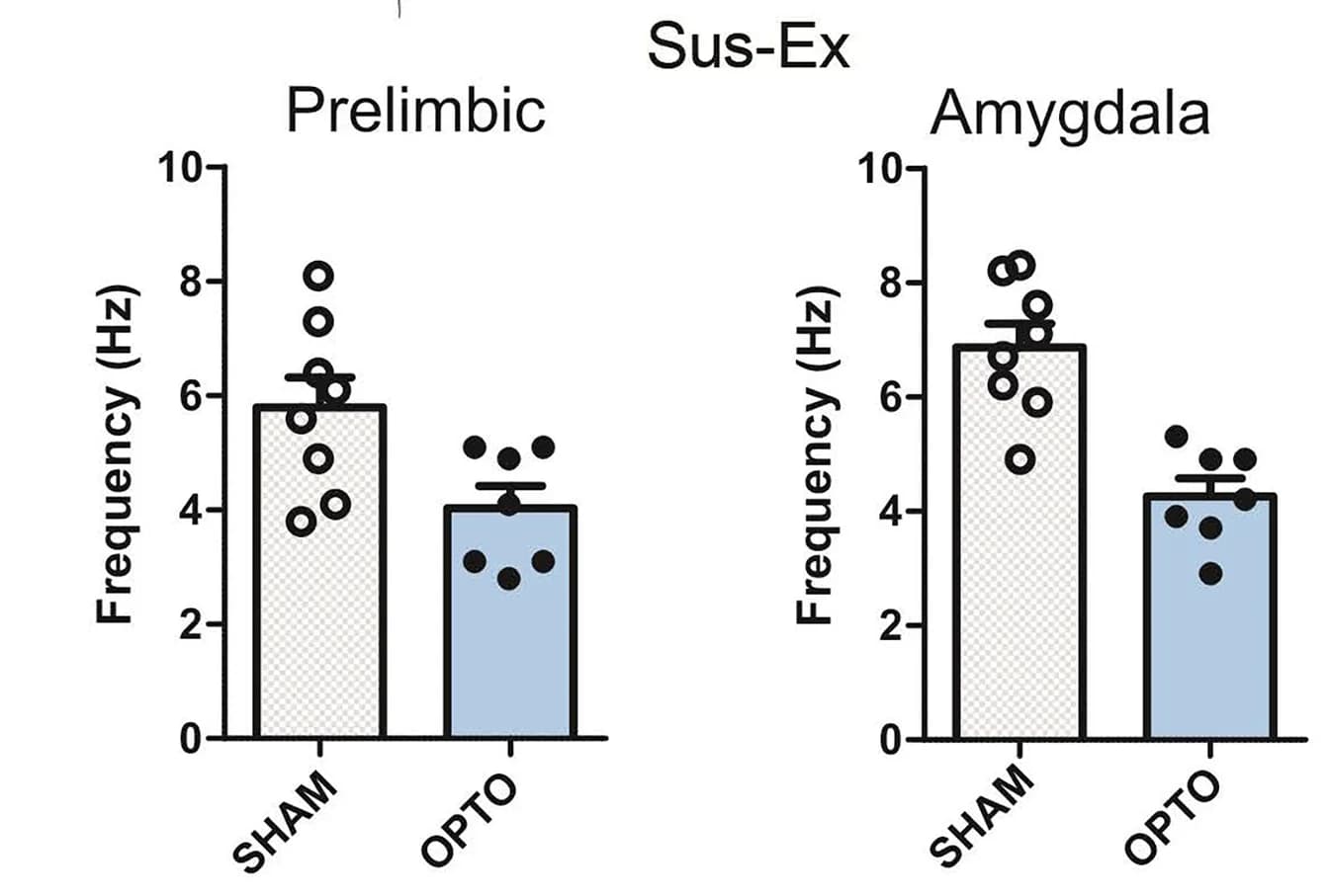 Open access visualization of Bar Plot, Error Bars, PrL Neurons, AMY Neurons, Event Frequency