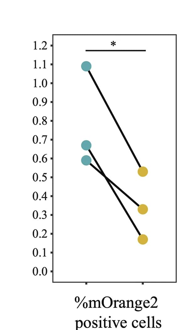 Open access visualization of Line Plot, Scatter Plot, Biological Replicates, Flow Cytometry, mOrange2 Positive Cells