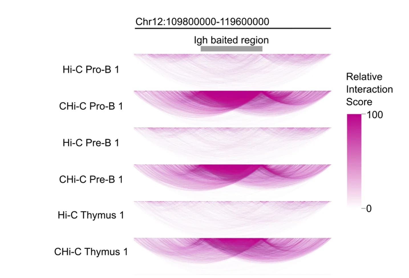 Open access visualization of Network, Sankey, Read Enrichment, Igh Locus, CHi-C Datasets