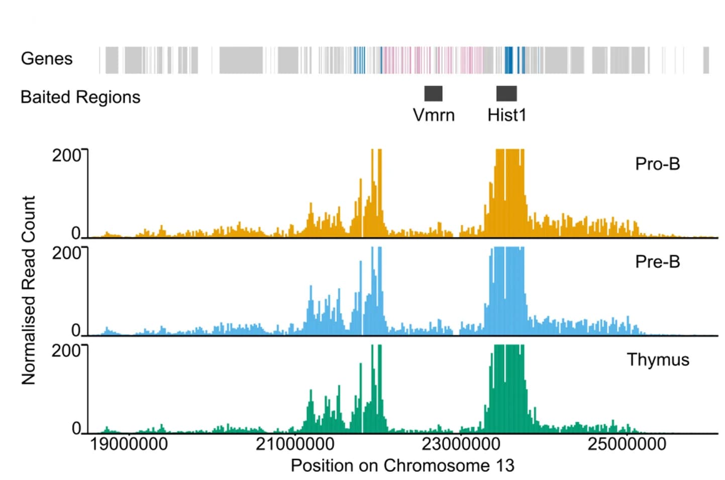 Open access visualization of Line Plot, Histogram, Histone 1, Hist1 clusters, Chromosome 13