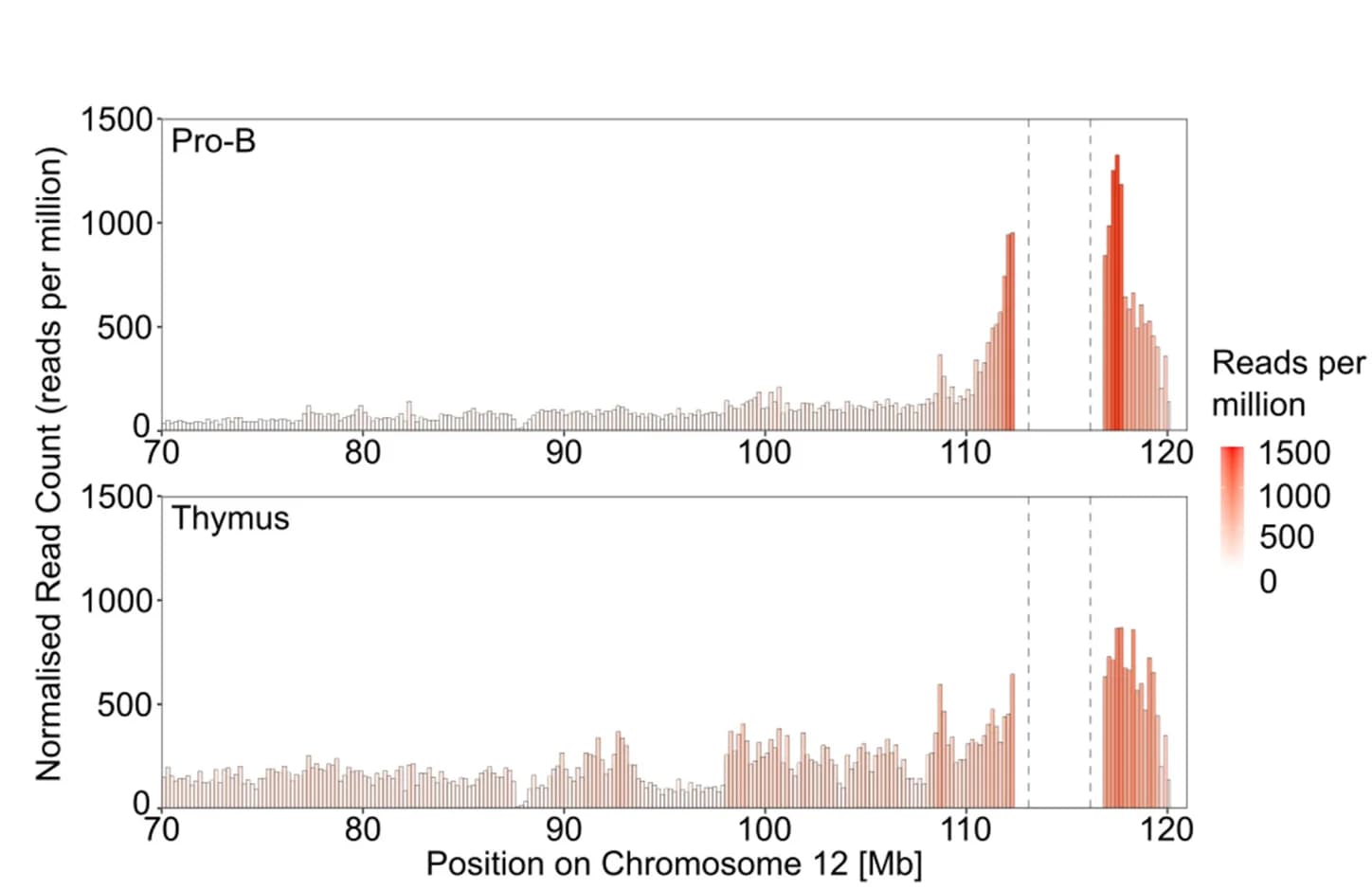 Open access visualization of Bar Plot, Histogram, Igh Locus, Thymus, Pro-B Cells