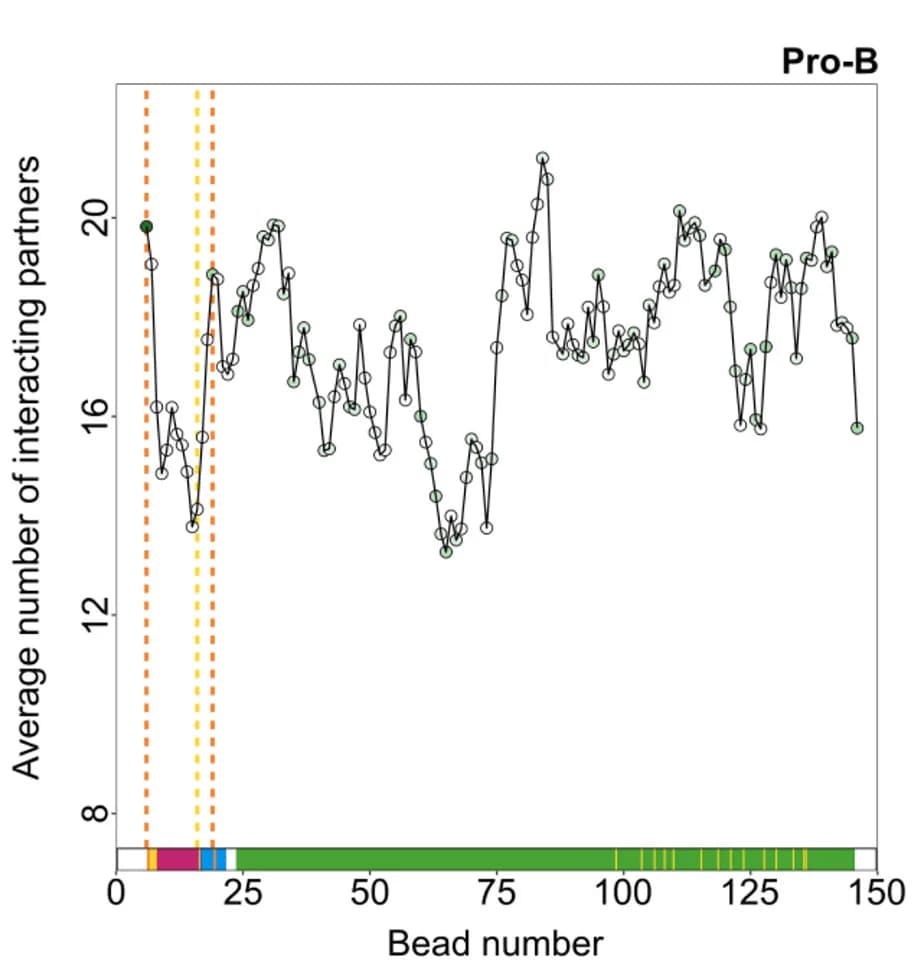 Open access visualization of Line Plot, Interacting partners, Pro-B cells, CTCF-binding, 3 CBEs