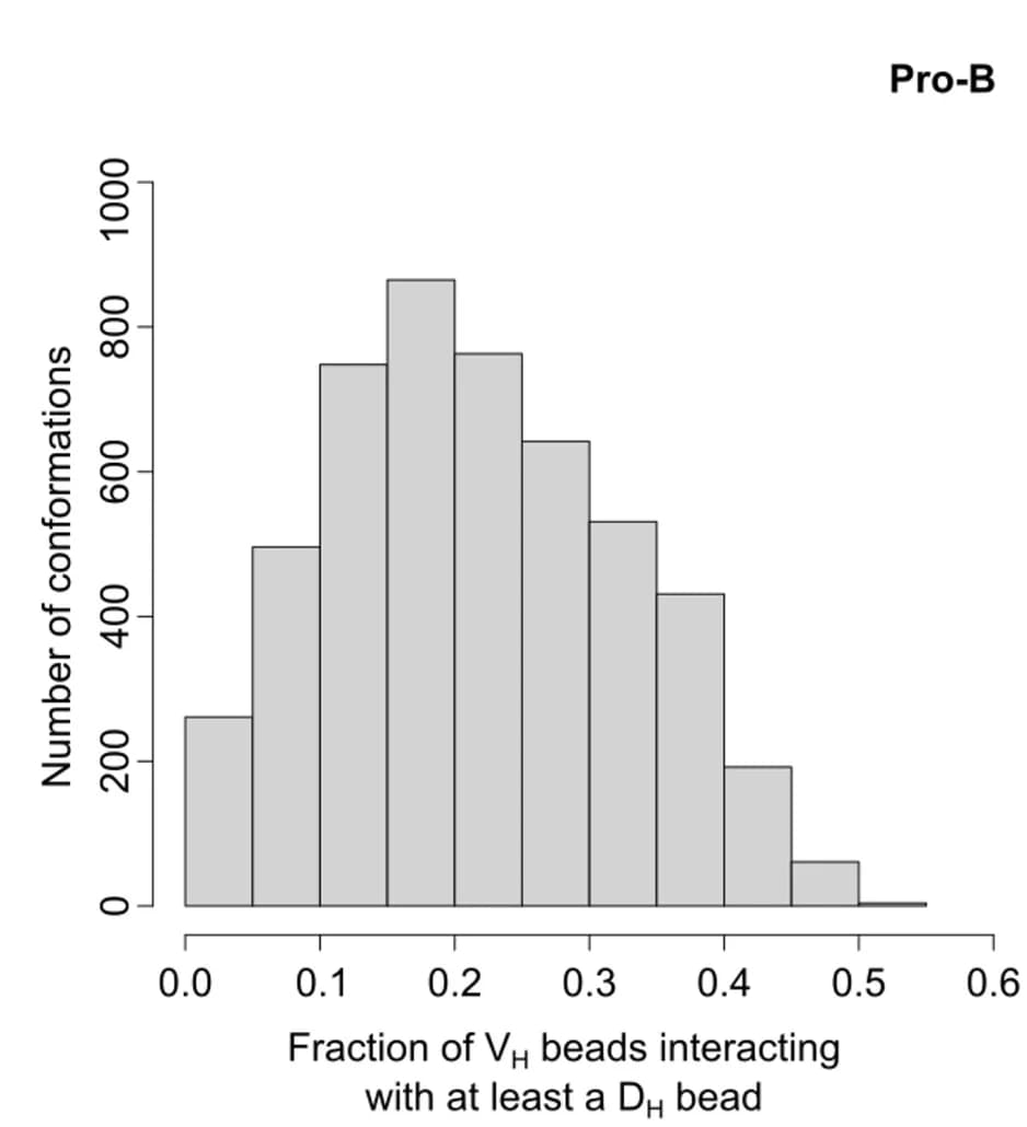 Open access visualization of Histogram, Pro-B cells, VHbeads, DHbead, Conformation