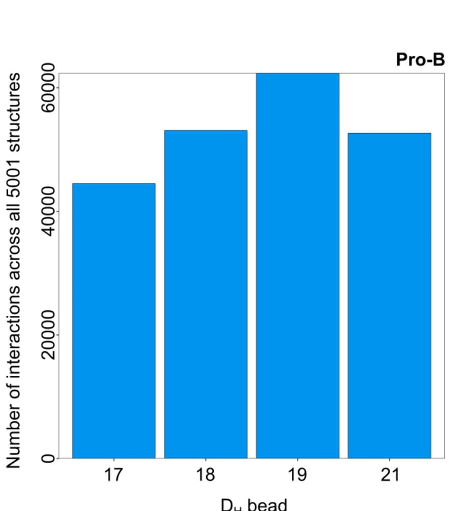 Open access visualization of Bar Plot, VH-DH interactions, Pro-B conformations, DHbead