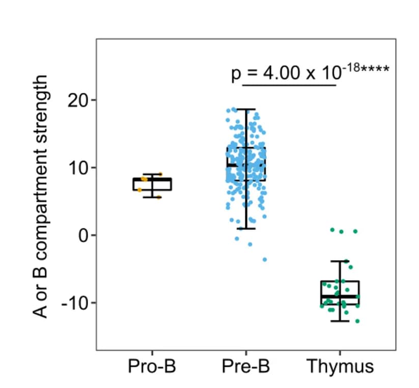 Open access visualization of Box Plot, Scatter Plot, Igλ Viewpoint, Compartment Strength, Developmental Stage