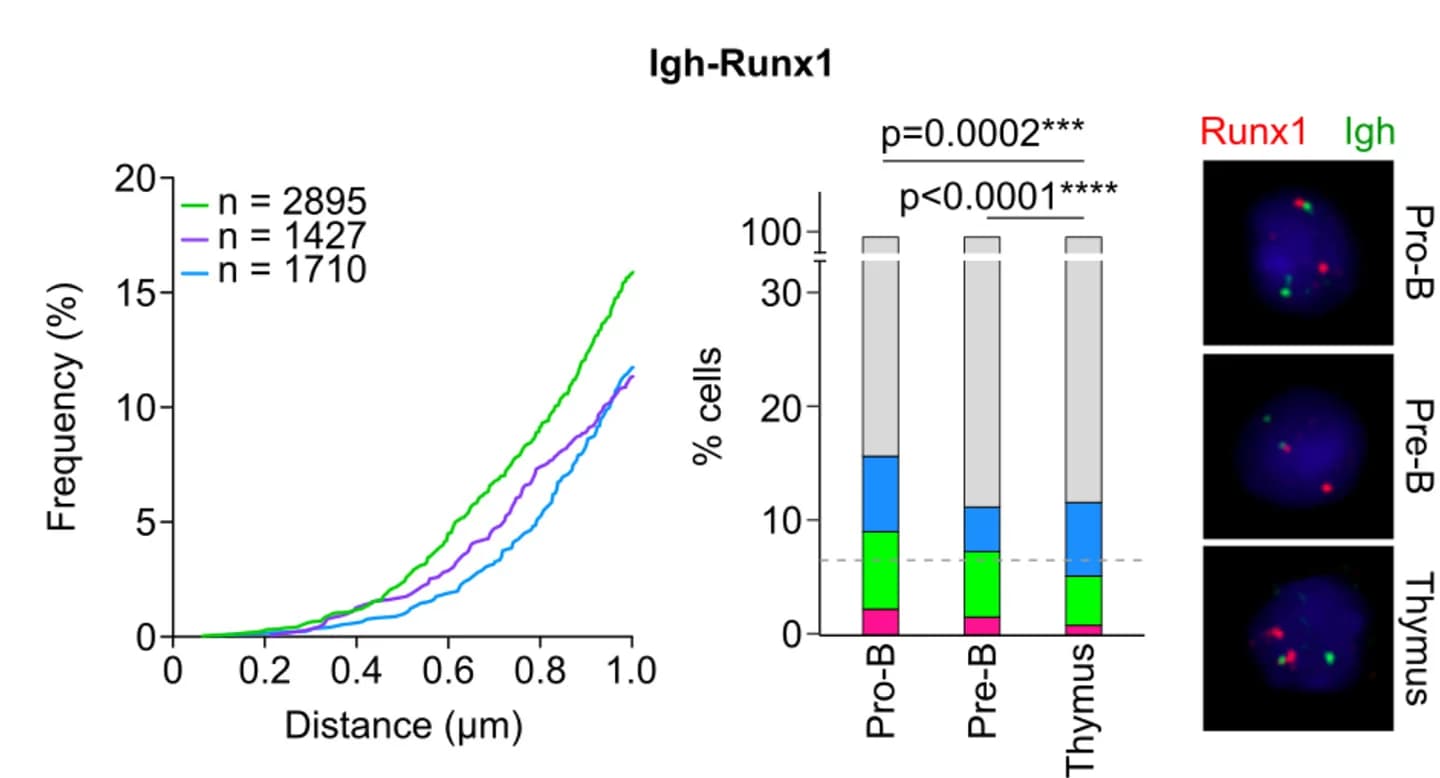 Open access visualization of Line Plot, Stacked Bar Plot, Microscopy, 3D FISH, Igh locus