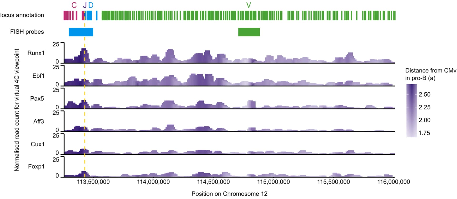 Open access visualization of Line Plot, Density Plot, Igh Locus, Transcontacts, Virtual 4C