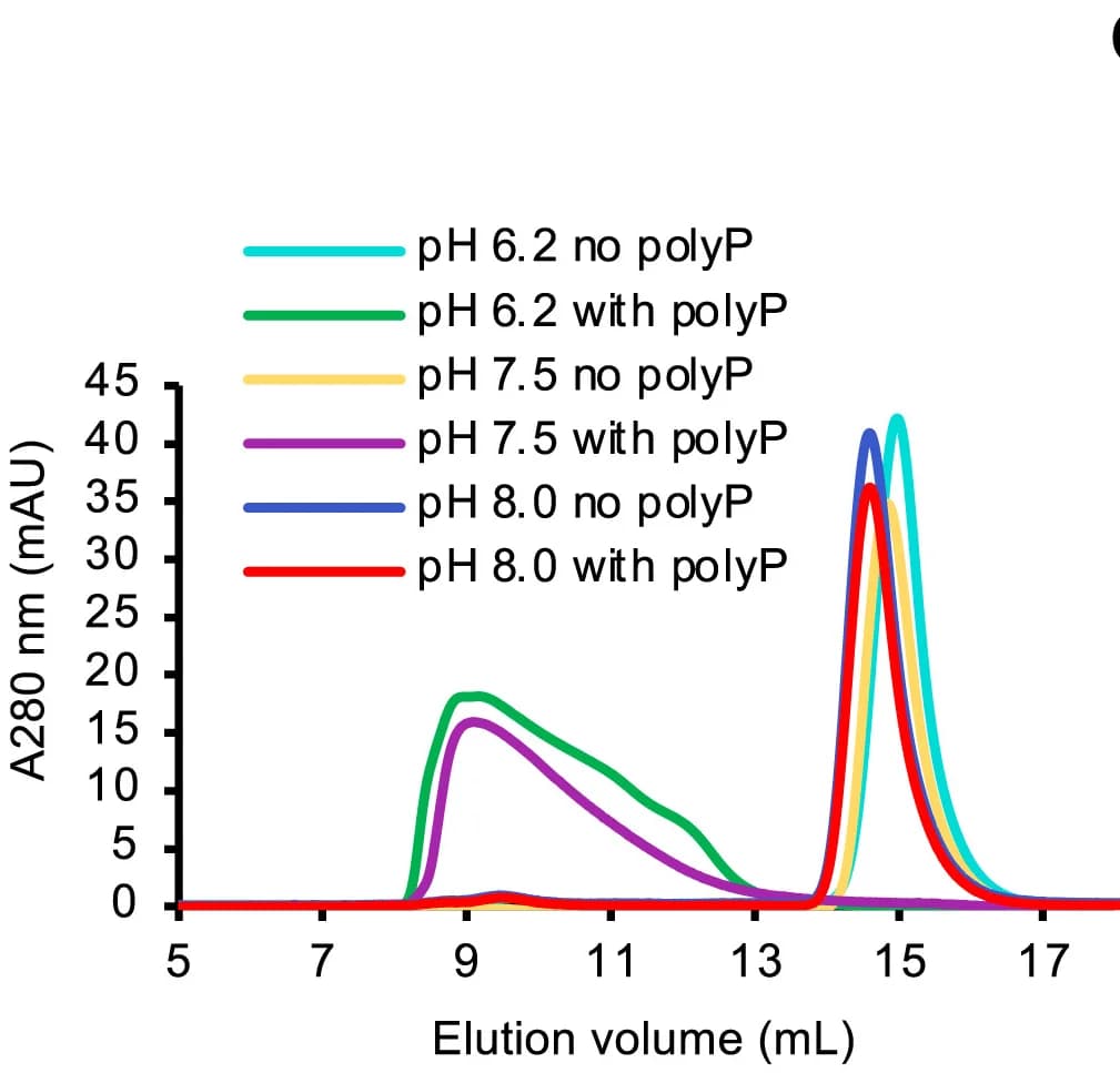 Open access visualization of Line Plot, Size Exclusion Chromatography, MBP-Snf1 Fusion, Buffer, pH