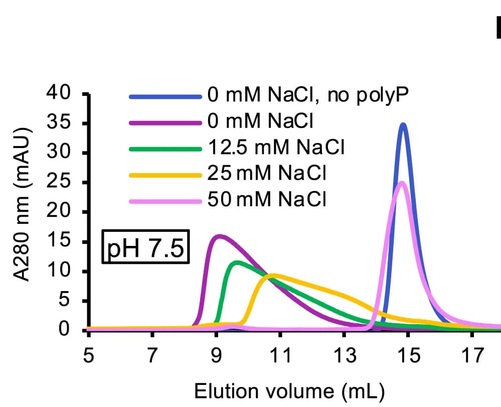 Open access visualization of Line Plot, Size Exclusion Chromatography, MBP-Snf1 Fusion, Buffer, Salt