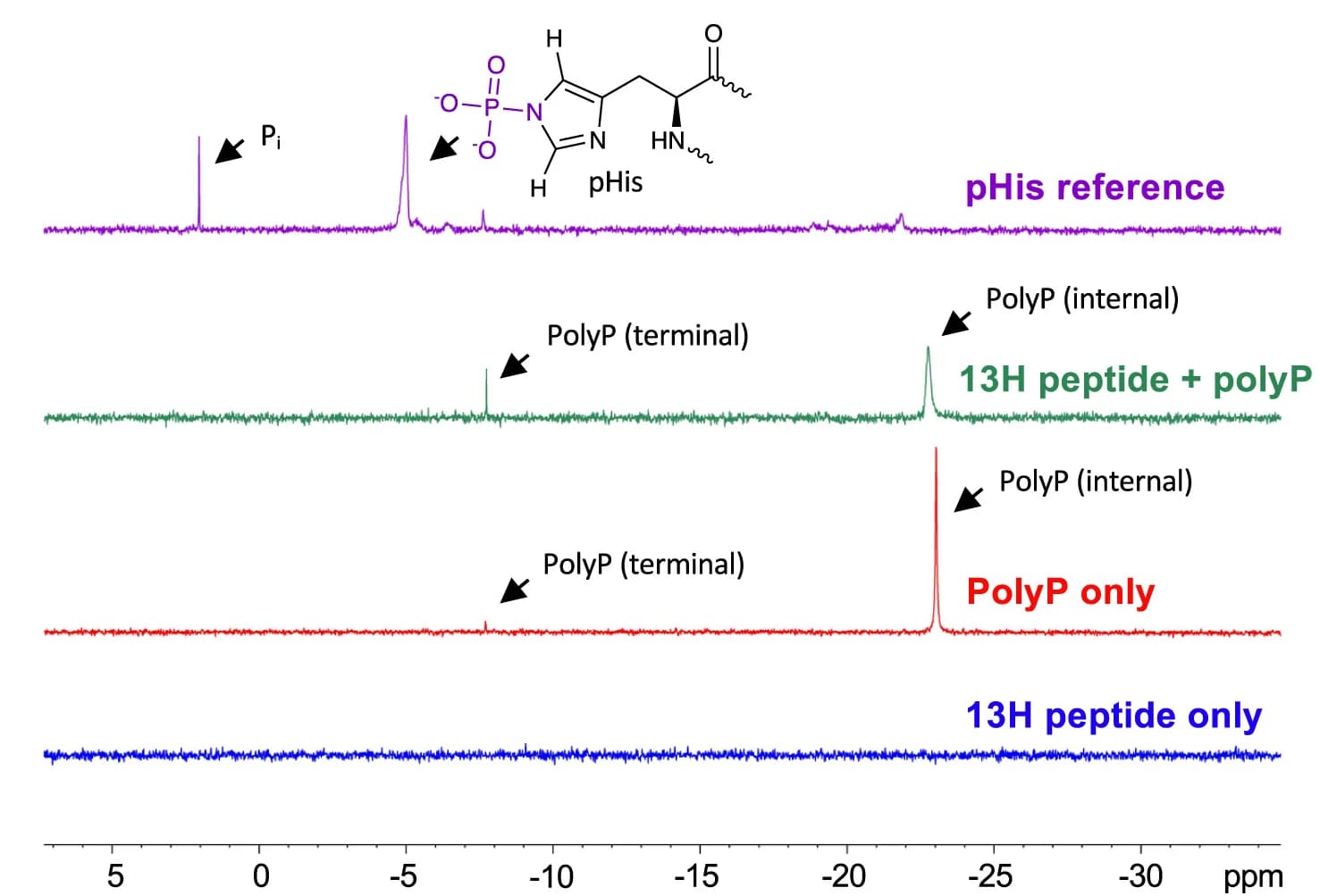 Open access visualization of Line Plot, 31P NMR, Peptides, polyP700, Phosphohistidine
