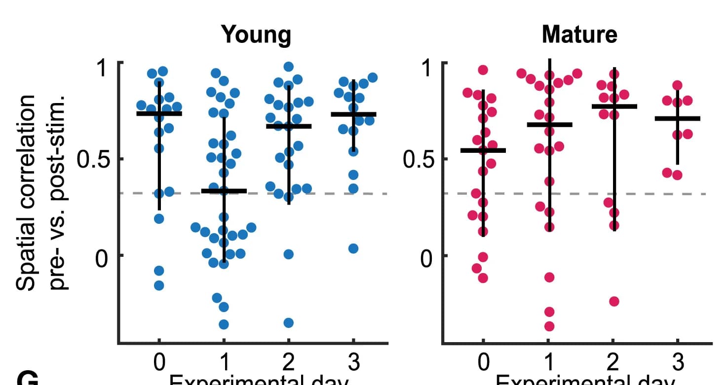 Open access visualization of Scatter Plot, Error Bars, Spatial Correlation, Neurons, Pre-stimulation