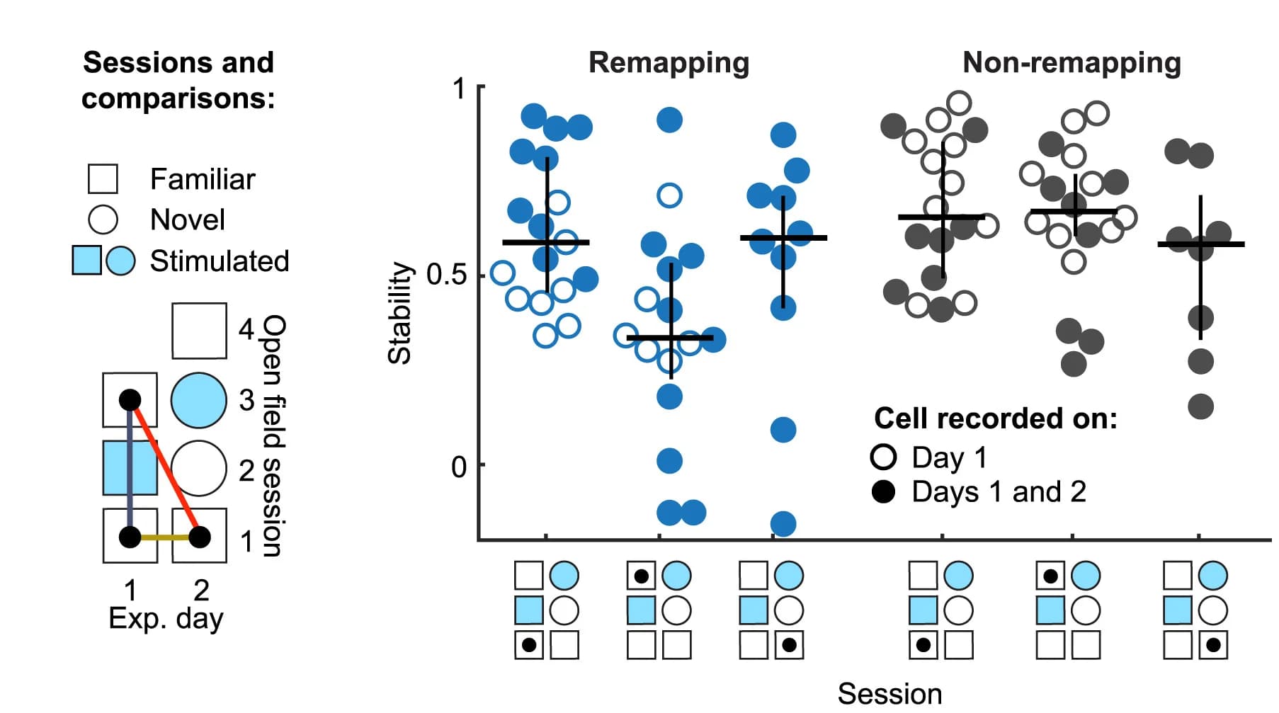 Open access visualization of Scatter Plot, Error Bars, Sessions, Remapping, Neurons