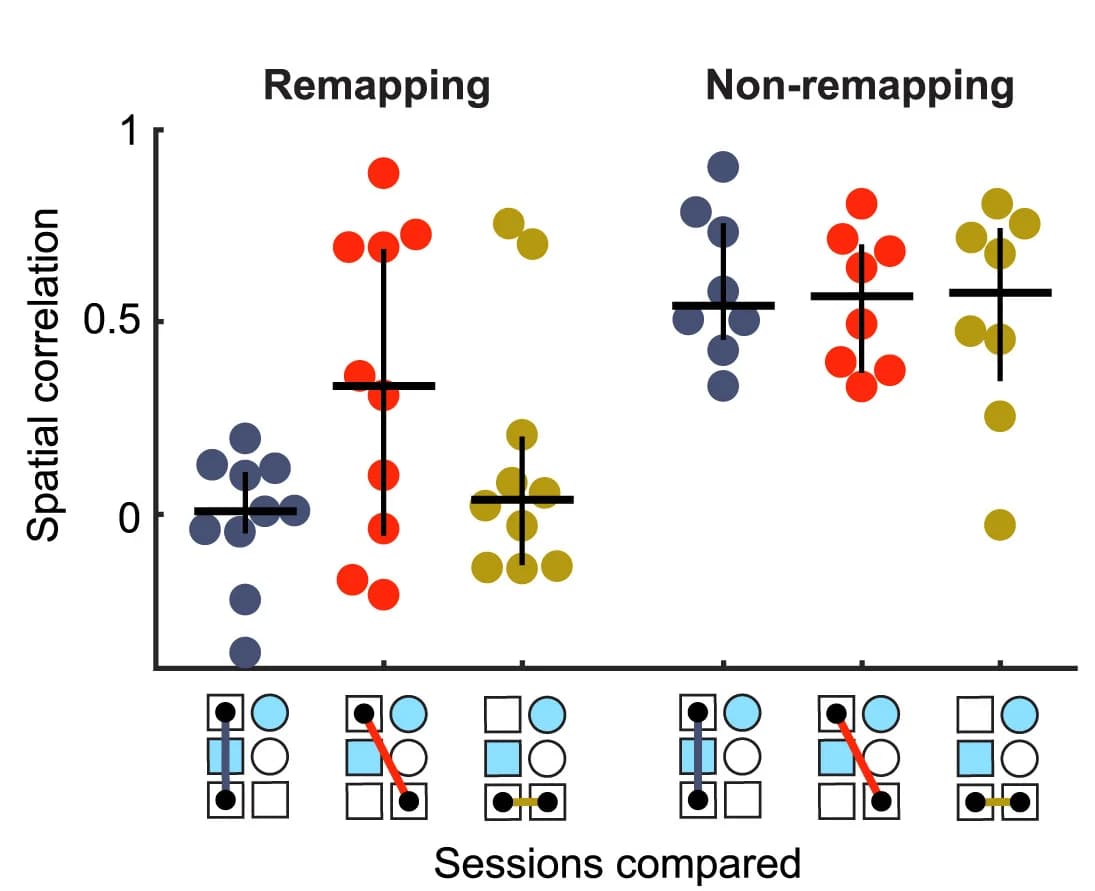 Open access visualization of Scatter Plot, Error Bars, Spatial Correlation, Sessions, Neurons