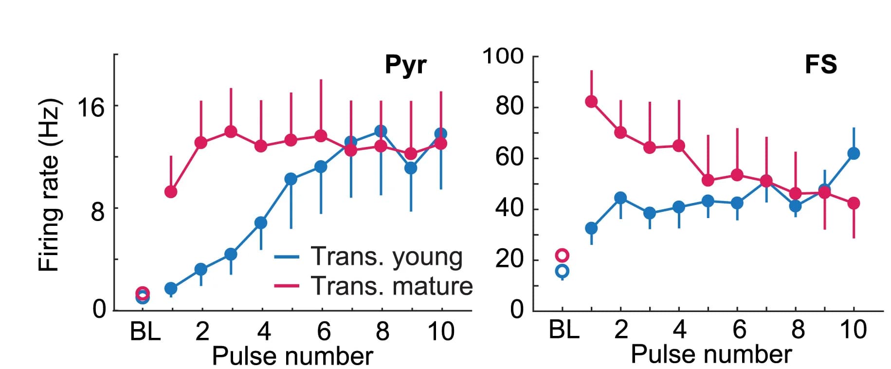 Open access visualization of Line Plot, Error Bars, Evoked Activity, Transient Pyr Cells, FS Cells