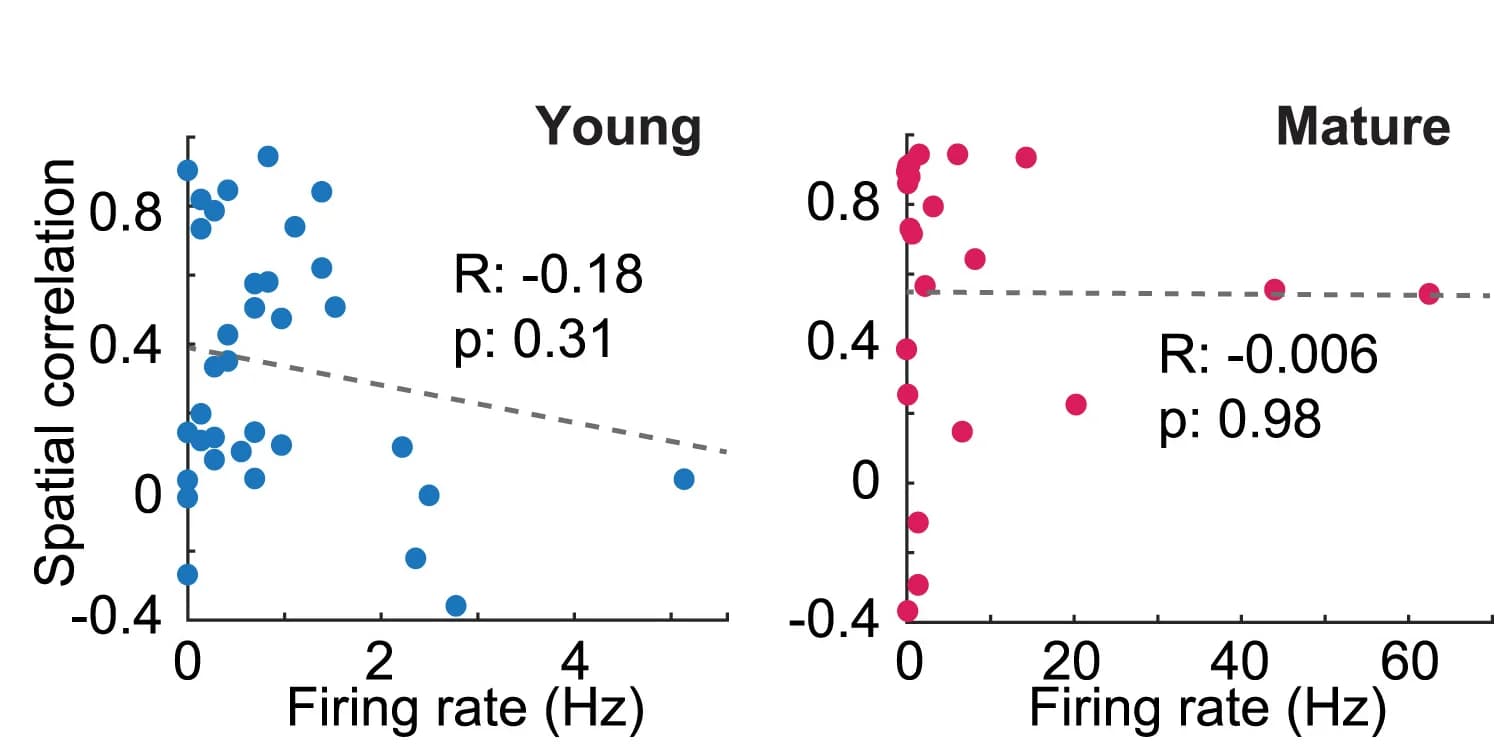 Open access visualization of Scatter Plot, Regression Plot, Spatial Correlation, Evoked Activity, Regression Coefficients