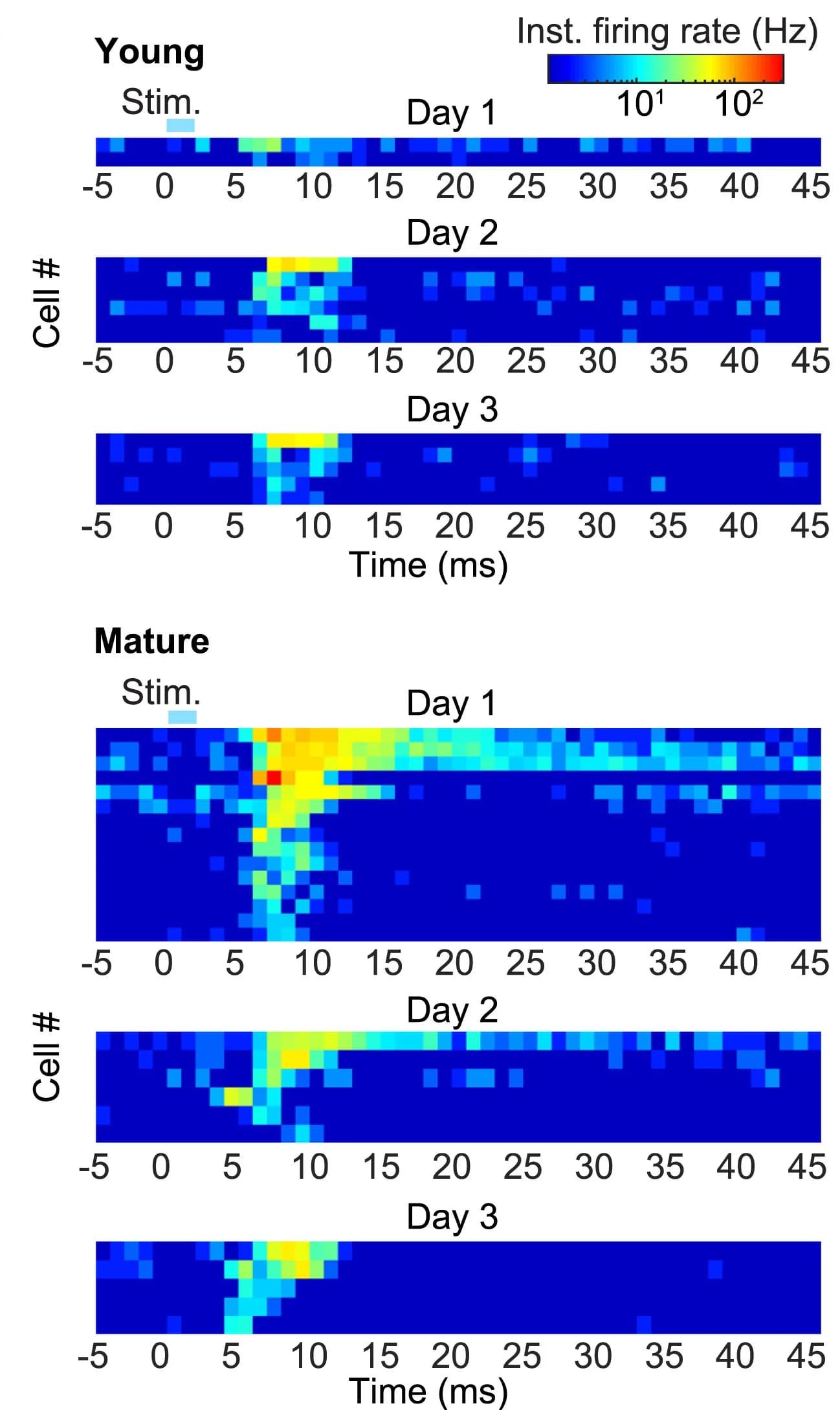 Open access visualization of Heatmap, Heatmaps, Cells, Conditions