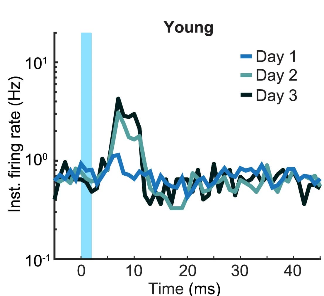 Open access visualization of Line Plot, Line Step, Cells, Conditions, Response