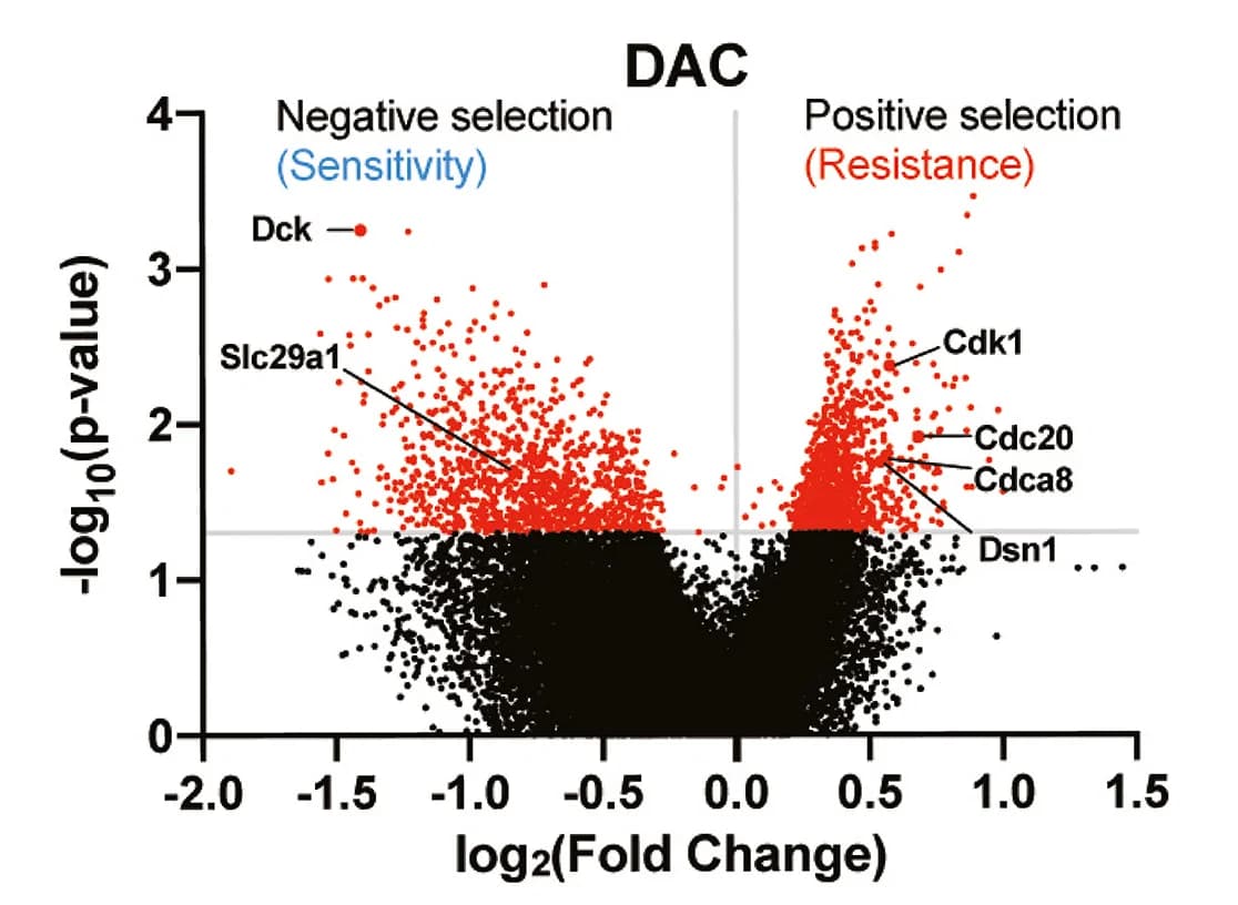 Open access visualization of Volcano Plot, Scatter Plot, Volcano Plots, Genes, DAC Sensitivity