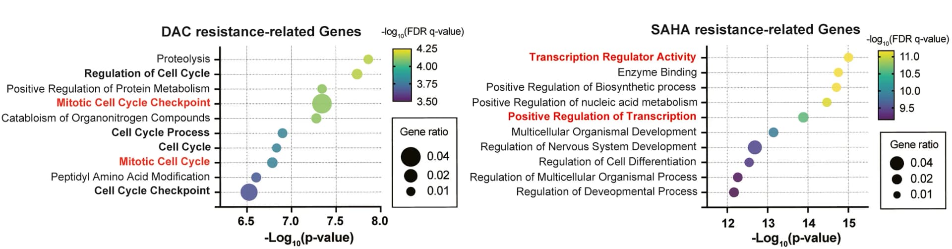 Open access visualization of Bubble Plot, Enriched Biological Processes, Gene Ontology Enrichment Analysis, DAC Resistant Genes, SAHA Resistant Genes