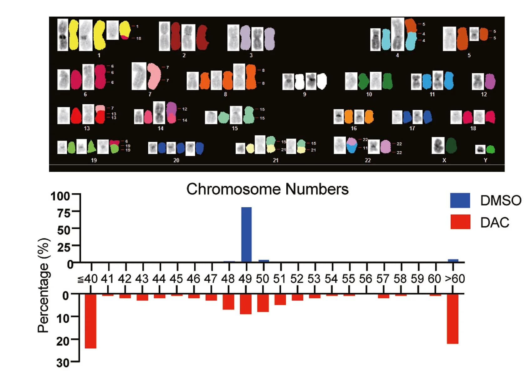 Open access visualization of Bar Plot, Karyotype, MDS, Cells, Chromosome