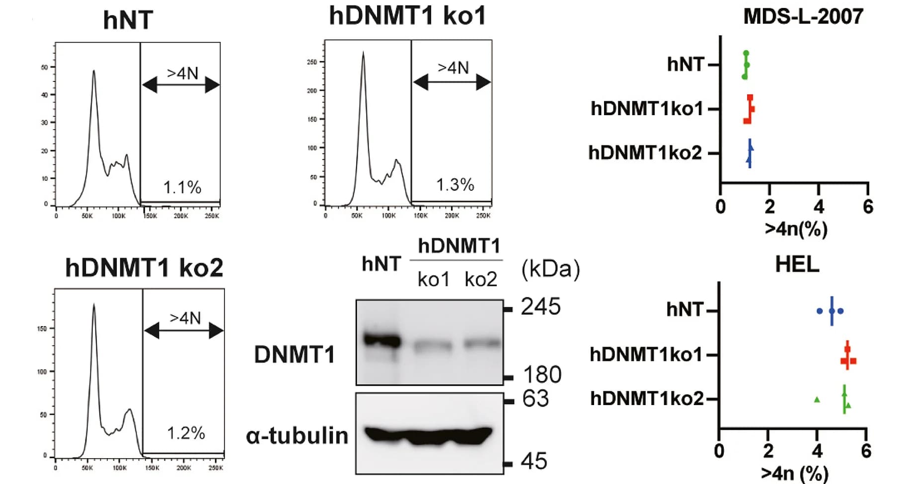 Open access visualization of Line Plot, Gel, Error Bars, MDS-L-2007 Cells, Cas9