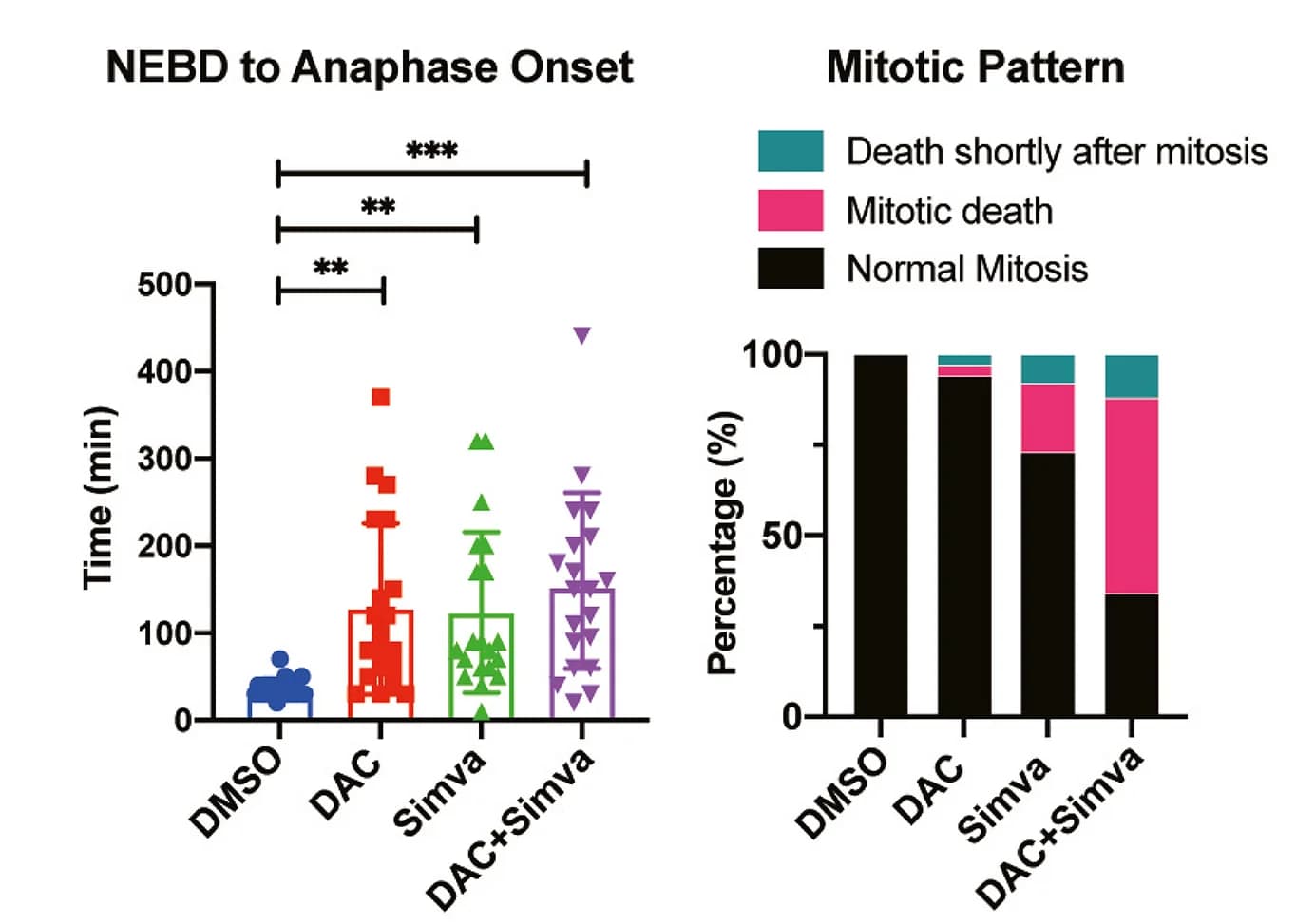 Open access visualization of Error Bars, Bar Plot, Stacked Bar Plot, NEBD to Anaphase Onset, Mitotic Patterns