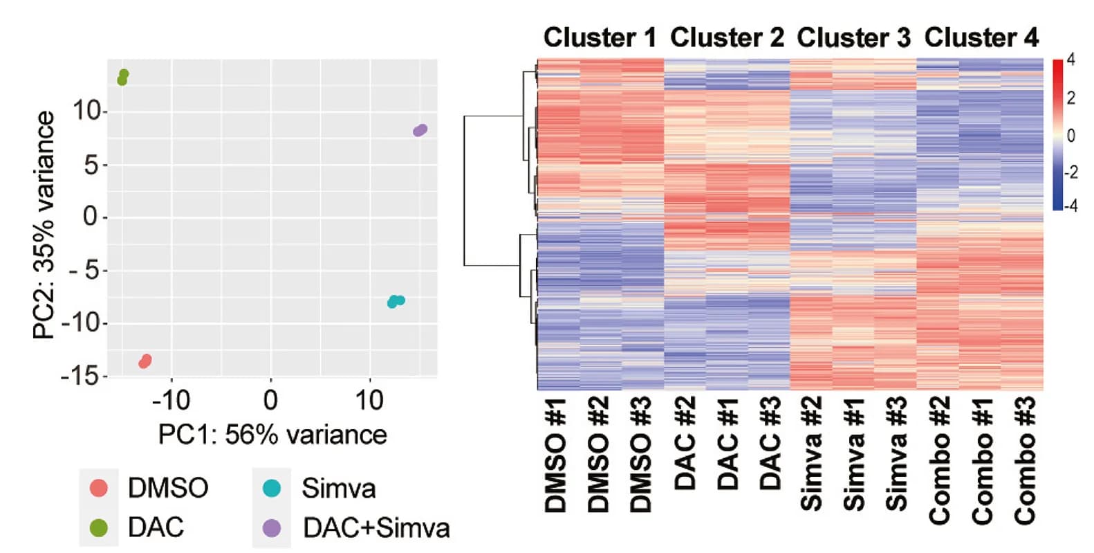 Open access visualization of Heatmap, Clustered, Scatter Plot, PCA, RNA-Seq