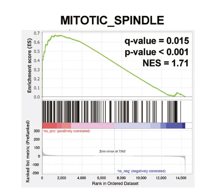 Open access visualization of Line Plot, Bar Plot, Gene Set Enrichment Analysis, DAC, DMSO