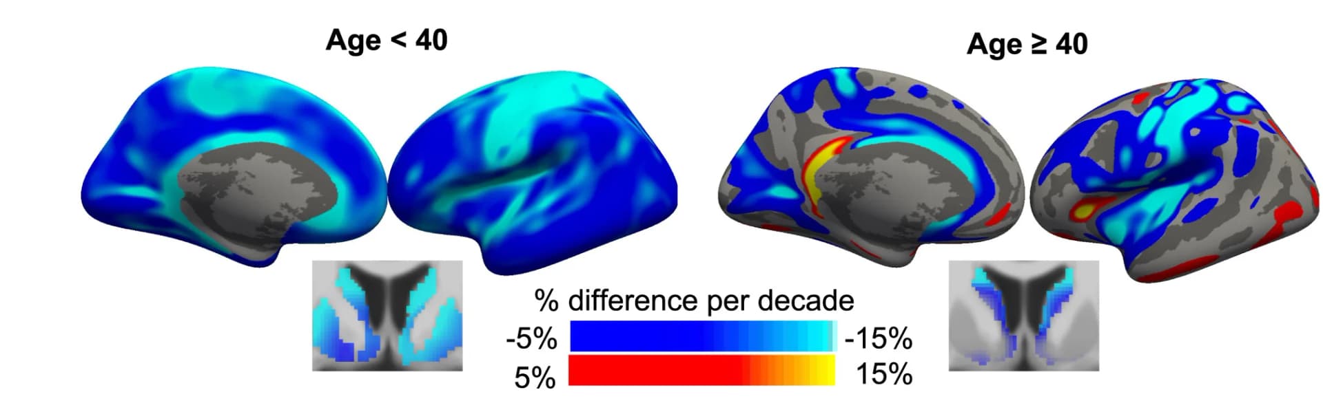 Open access visualization of Heatmap, Voxel-wise Percentage, Difference per Decade, Participants, Age