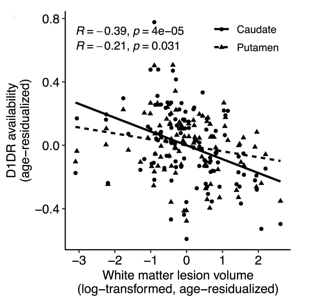 Open access visualization of Scatter Plot, Regression Plot, Scatterplot, Caudate, Putamen