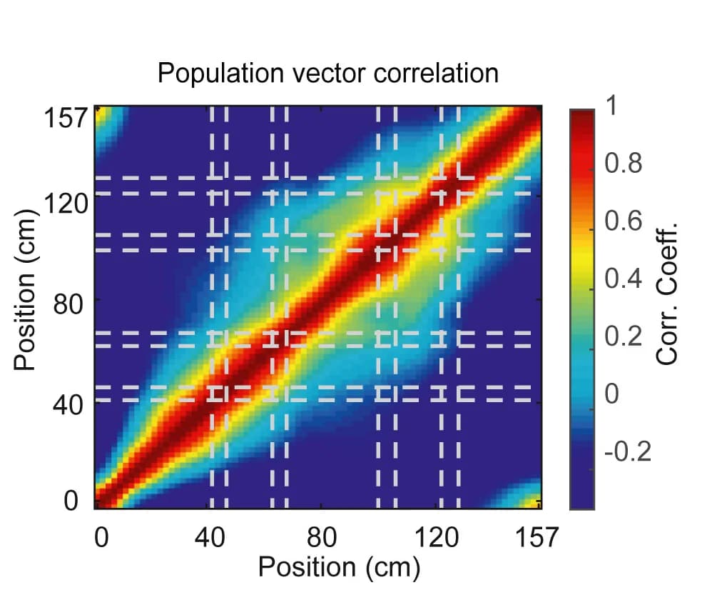 Open access visualization of Heatmap, Bright Field Image, Vasculature, Glass Window, RSC