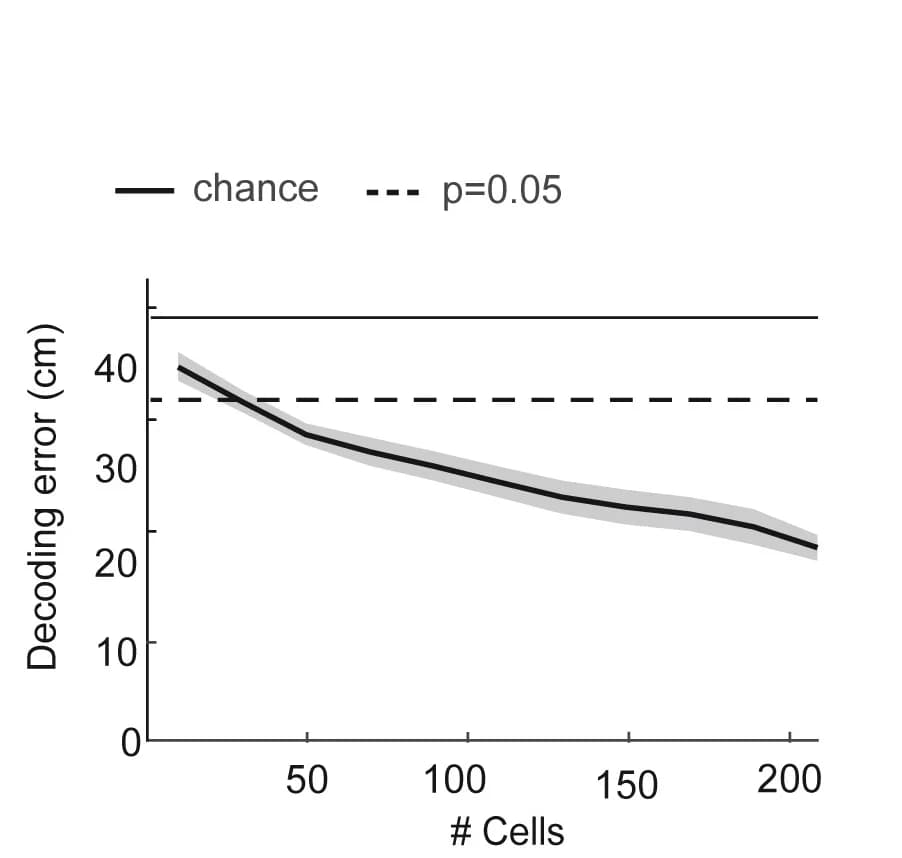 Open access visualization of Line Plot, Error Bars, M2 Axons, Activity, Position