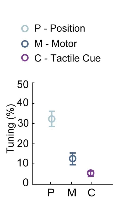 Open access visualization of Error Bars, M2 Axons, Behavioral Variables, Motor Tuning, Running Speed
