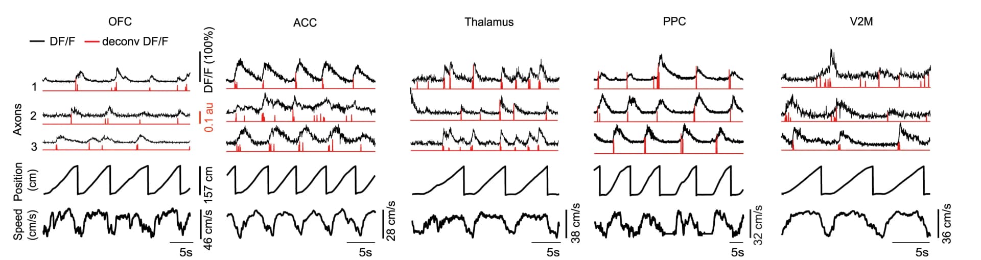 Open access visualization of Line Plot, Line Step, Axons, Running speed, Spike rate