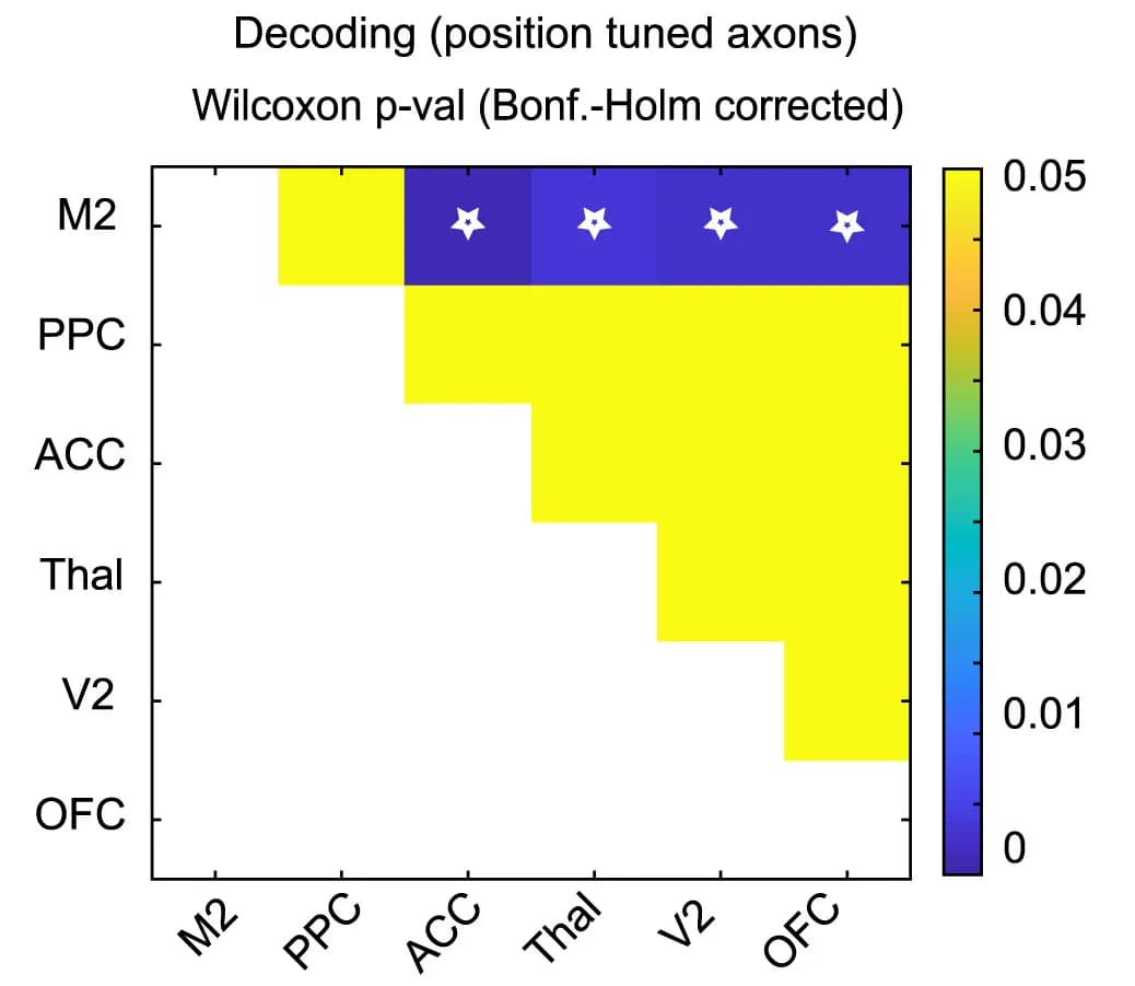 Open access visualization of Heatmap, Decoding Error, Statistical Comparison, Wilcoxon Mann-Whitney test, Bonferroni-Holm