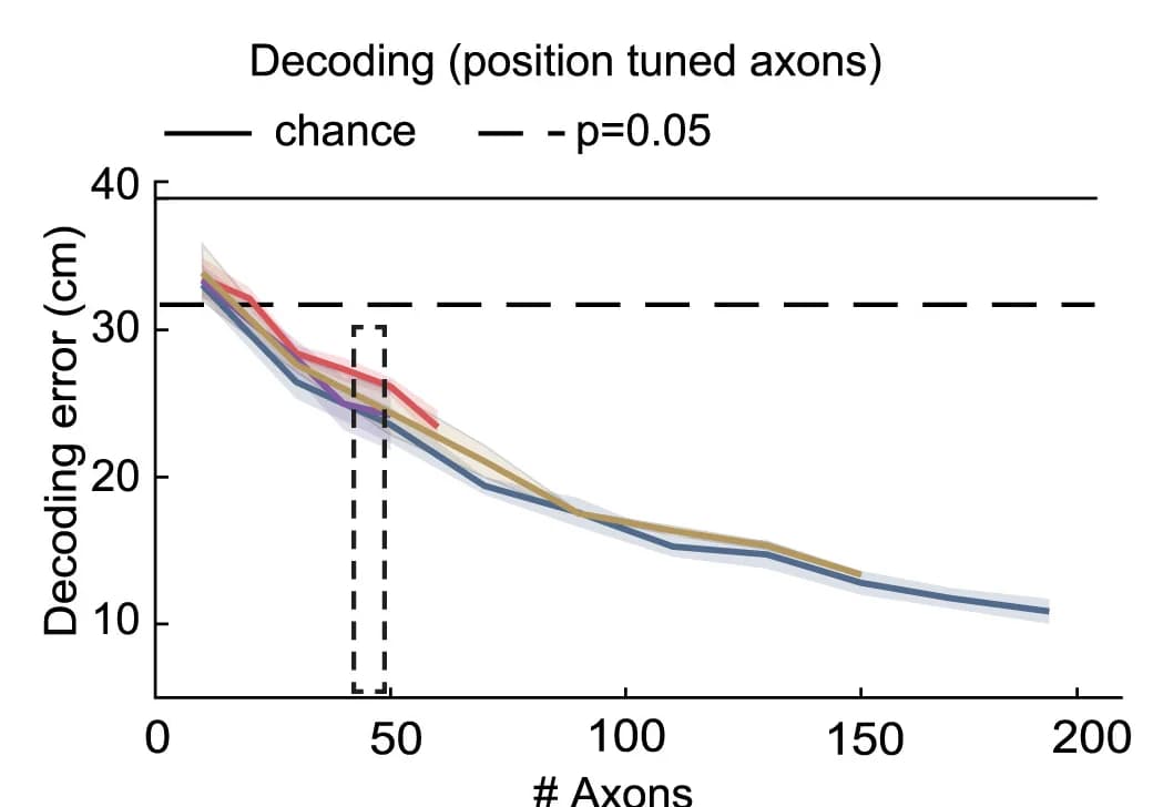 Open access visualization of Line Plot, Error Bars, Decoding Error, Axon Number, Position-Tuned Axon