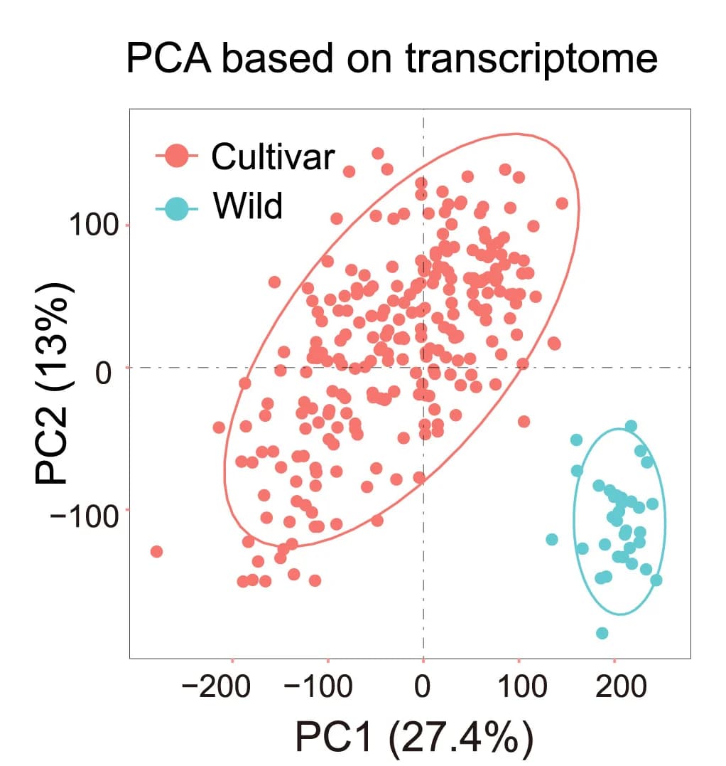Open access visualization of Scatter Plot, PCA, Principal-Component Analysis, Transcriptome Profiles, Wild Type