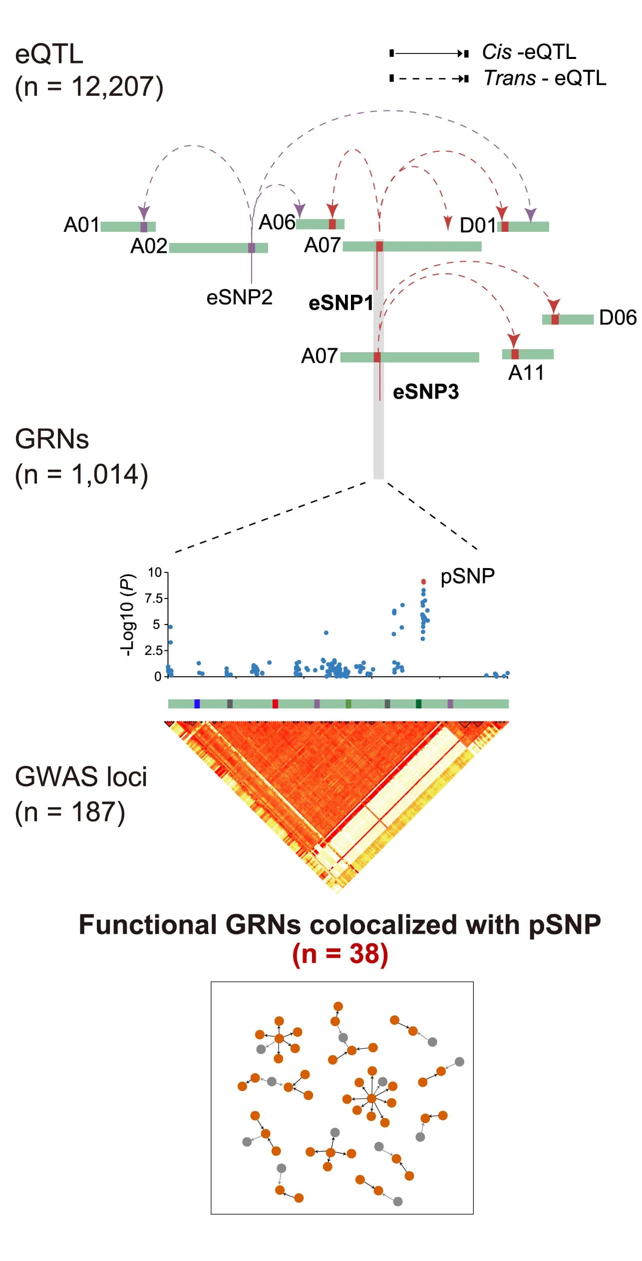 Open access visualization of Scatter Plot, Heatmap, Network, GWAS, eQTL