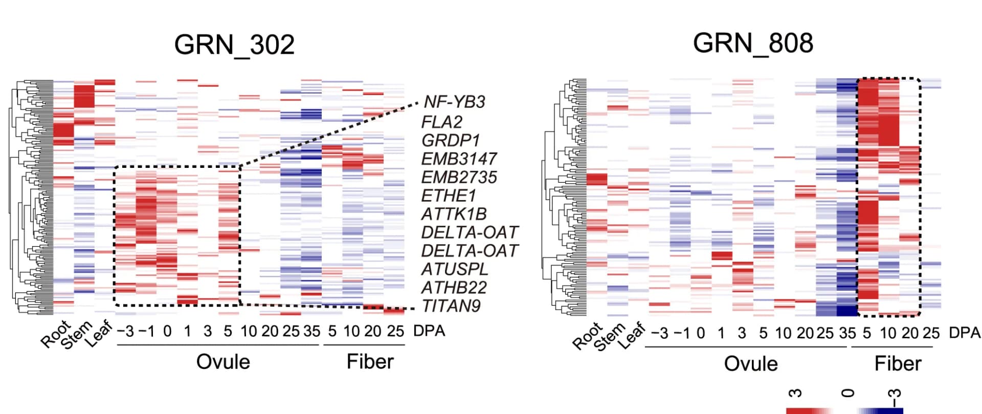 Open access visualization of Heatmap, Clustered, eGenes, GRN, Tissues