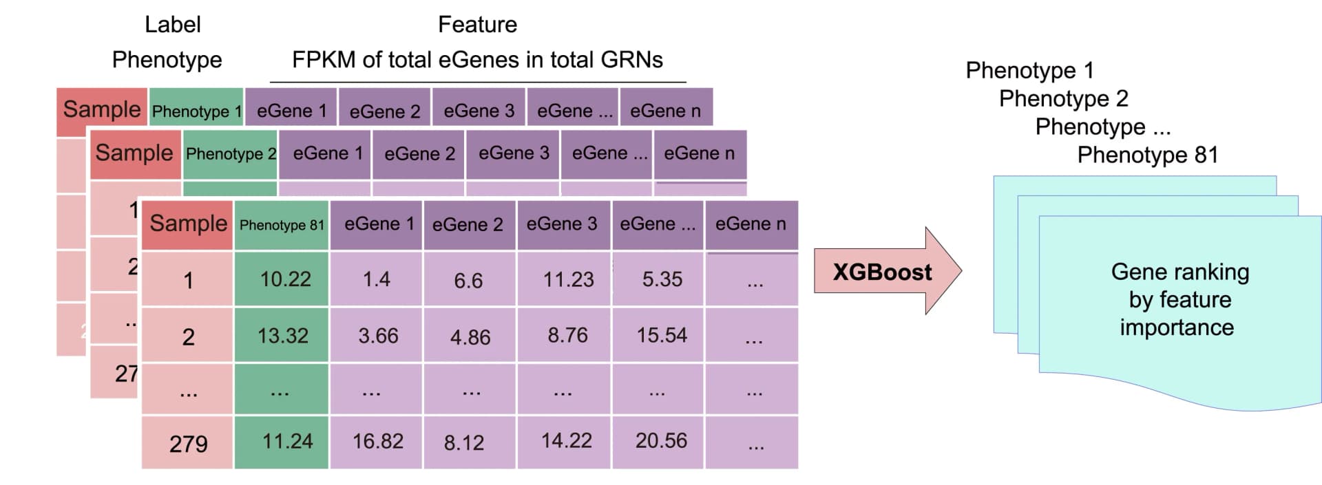 Open access visualization of Workflow, Table Image, Machine Learning, eGenes, Training Set